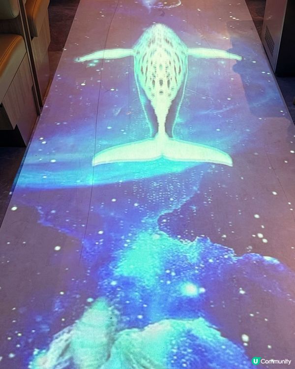 美人漁打邊爐？係海底世界！🌊😋