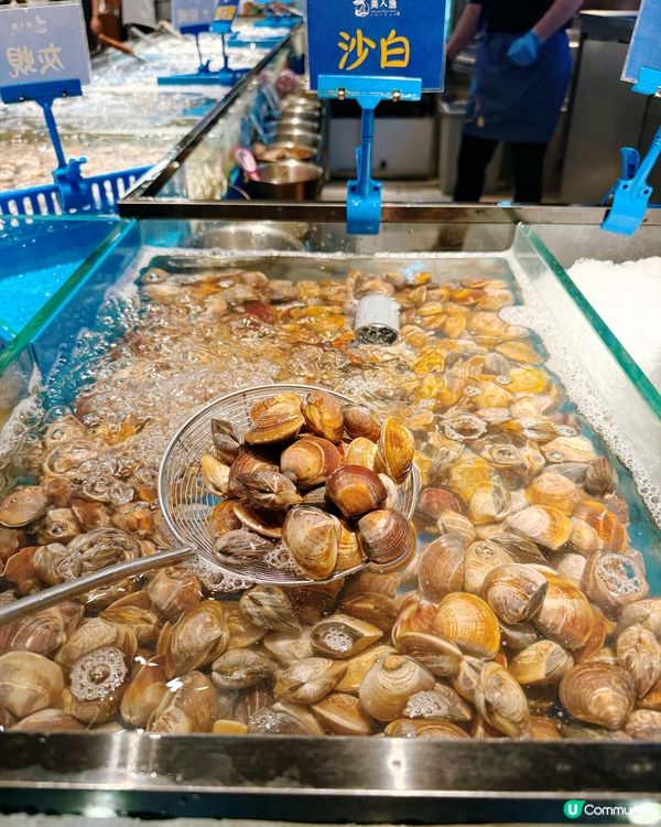 美人漁打邊爐？係海底世界！🌊😋