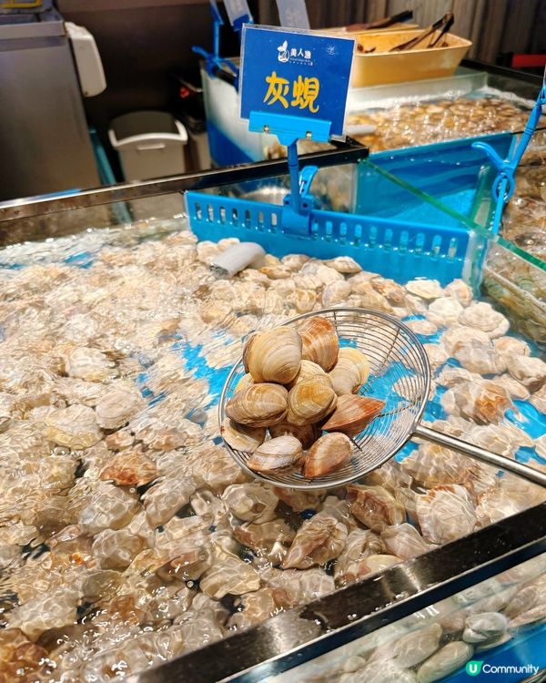 美人漁打邊爐？係海底世界！🌊😋