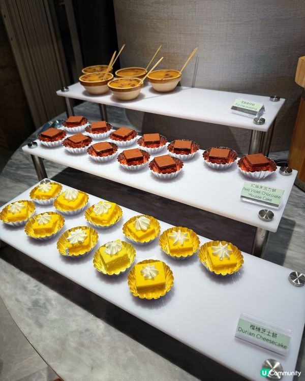 美人漁打邊爐？係海底世界！🌊😋