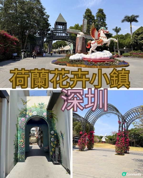 深圳花海！勁抵買！😍🌺