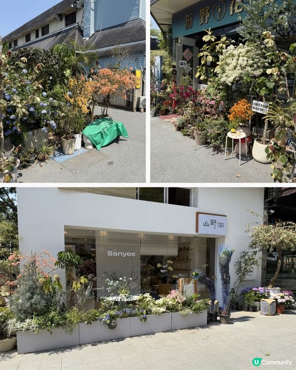 深圳花海！勁抵買！😍🌺