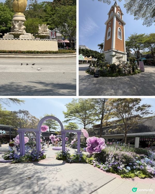 深圳花海！勁抵買！😍🌺