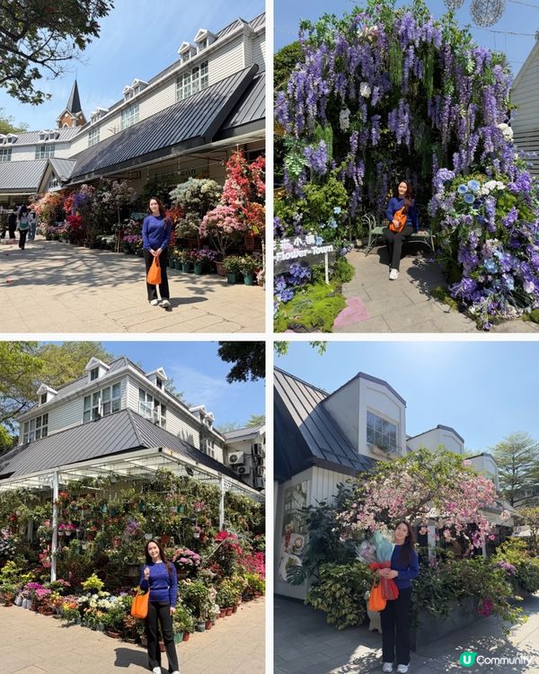 深圳花海！勁抵買！😍🌺