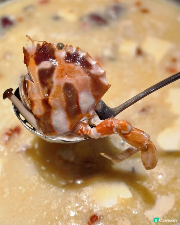 即撈海鮮🦞美人漁海鮮火鍋放題~