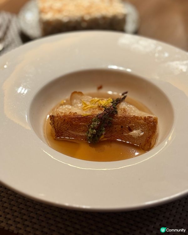 維港景鐵板燒 🥢🥩🤤