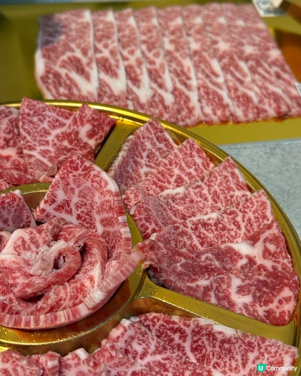 🥩和你牛牛
