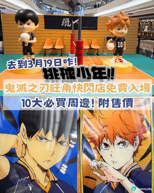 排球少年香港期間限定快閃店! 去到3月19日咋! 12大必搶商品!
