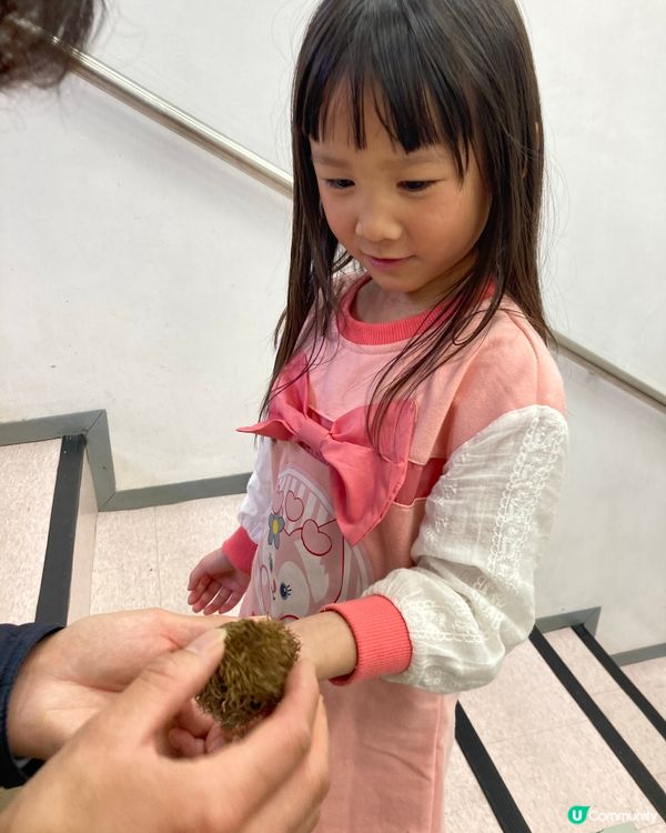 親子炒粟子工作坊