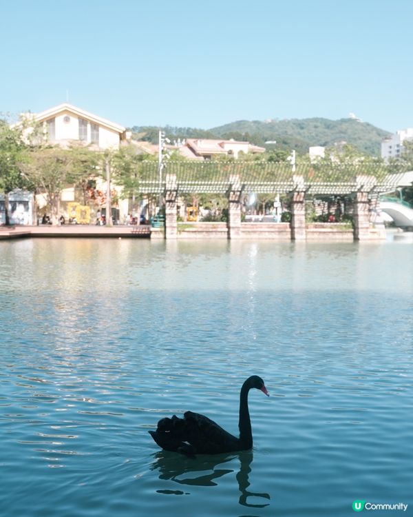 深圳大梅沙打卡攻略