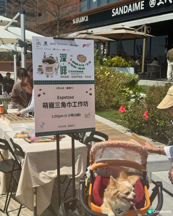 週末限定‼️ 精品咖啡 + 輕食市集推薦 Chill🐶☕️🥰