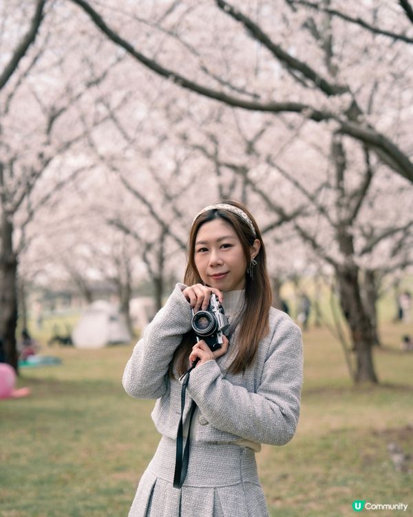 《福岡櫻花必去景點🌸 海之中島海濱公園》