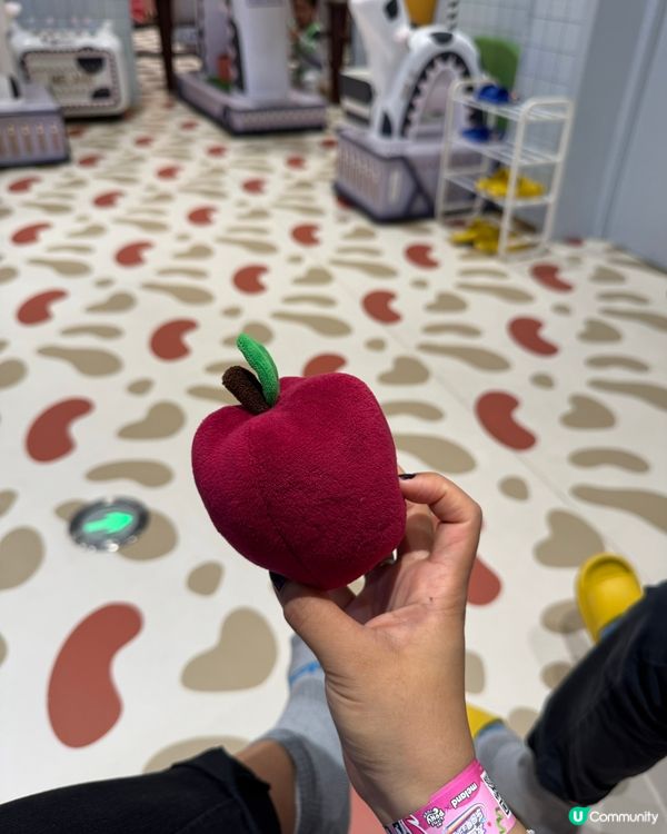 睿印樂園：寶貝放電必到 🤩