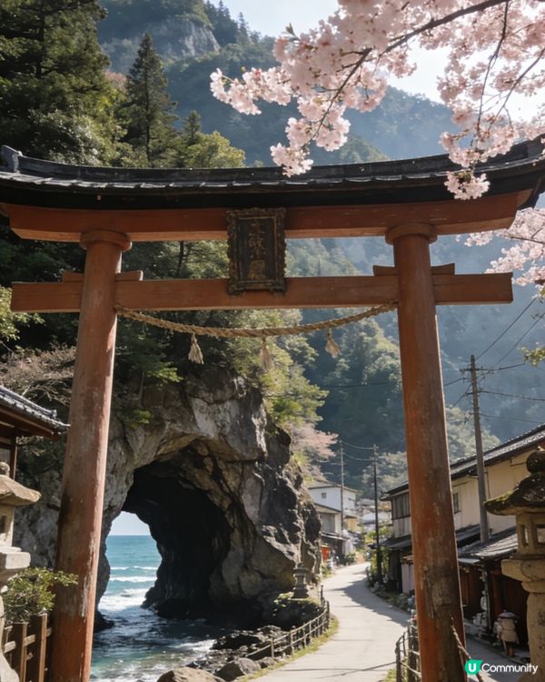 🌟 德島秘境！峽谷＋溫泉🇯🇵