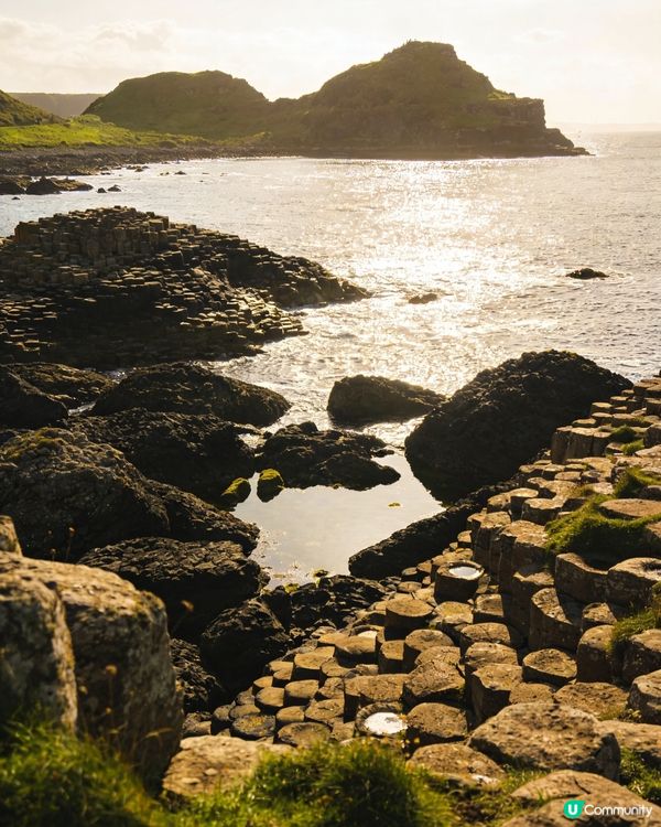 約克郡荒原！🍂📚🚶‍♀️