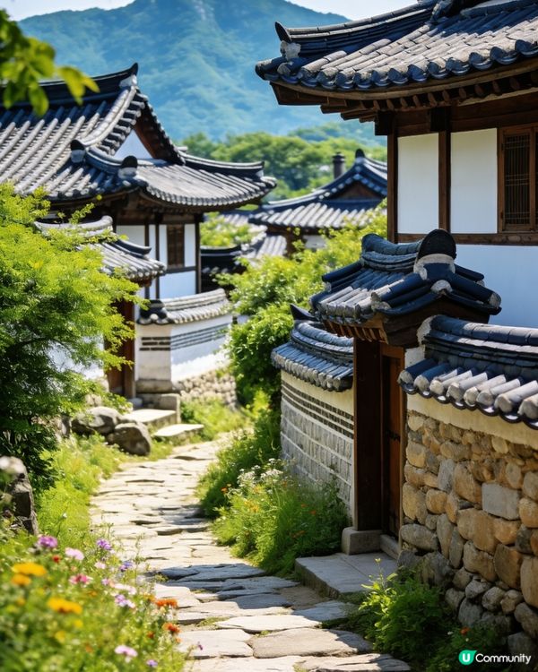 釜山甘川文化村🌈童話村坡打卡📸