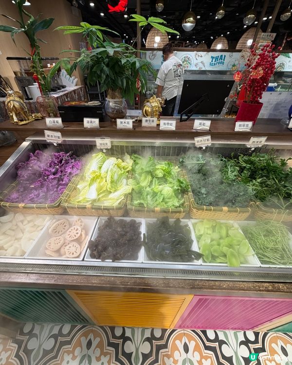 🍲真係出名泰國人廚嘅泰式火鍋放題!