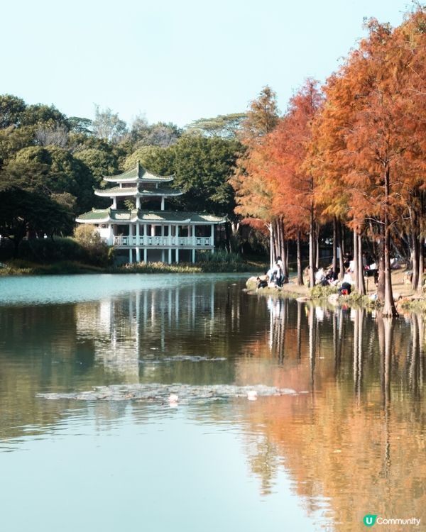 深圳打卡點一覽📸✨