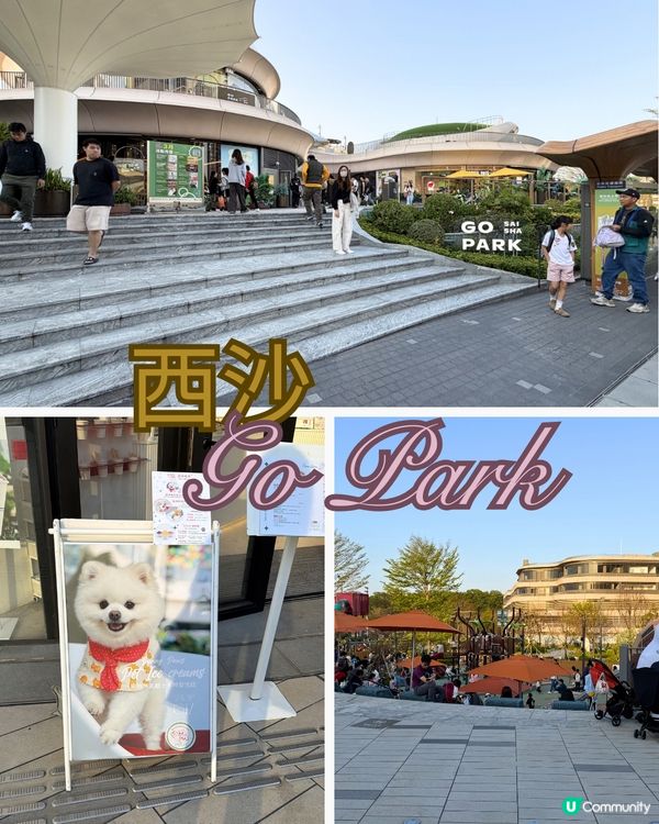 西沙寵物天堂🚀 寵物爸媽必去！🐶