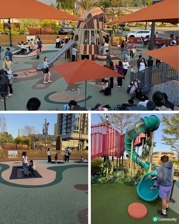 西沙寵物天堂🚀 寵物爸媽必去！🐶