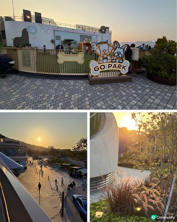 西沙寵物天堂🚀 寵物爸媽必去！🐶