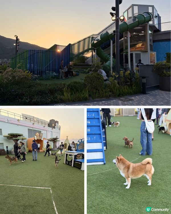 西沙寵物天堂🚀 寵物爸媽必去！🐶