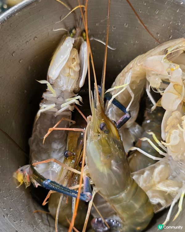 任食澳洲牛肉海鮮