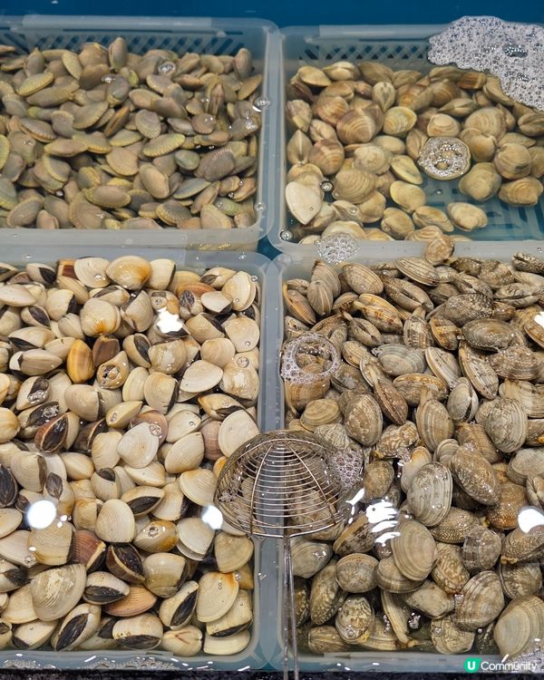 任食澳洲牛肉海鮮