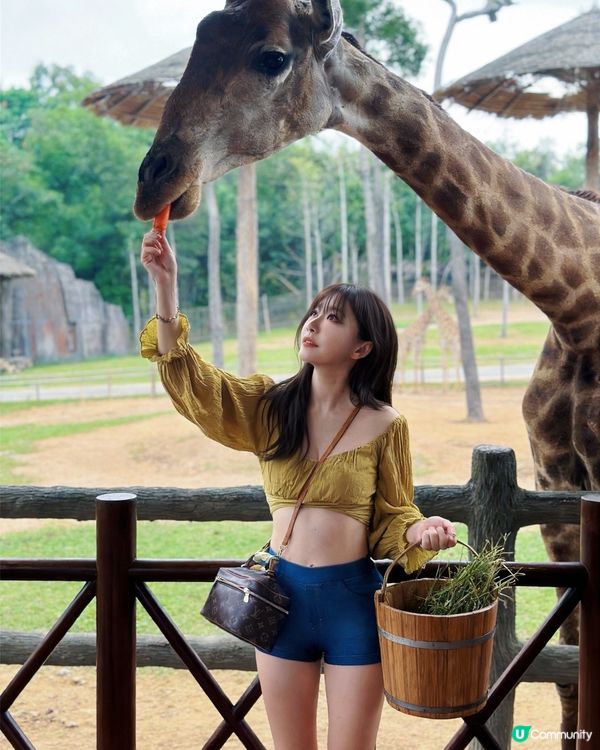 越南最大野生動物園👀