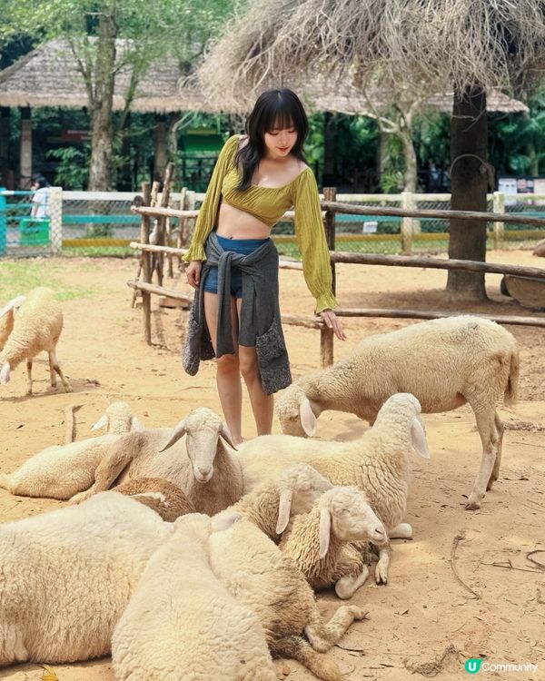 越南最大野生動物園👀