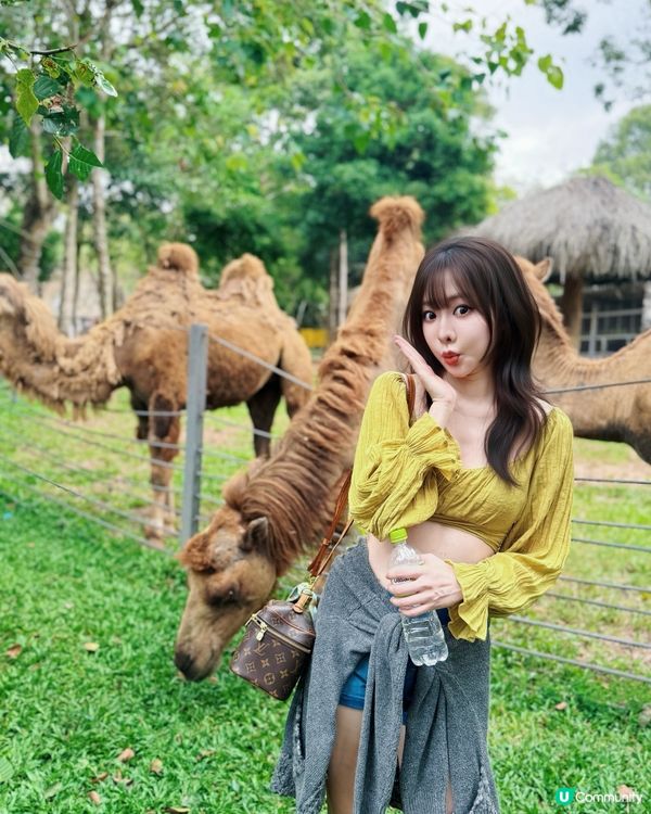 越南最大野生動物園👀