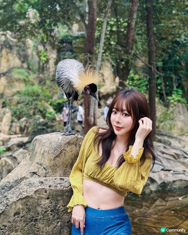 越南最大野生動物園👀