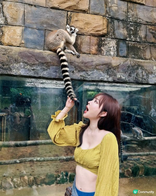 越南最大野生動物園👀