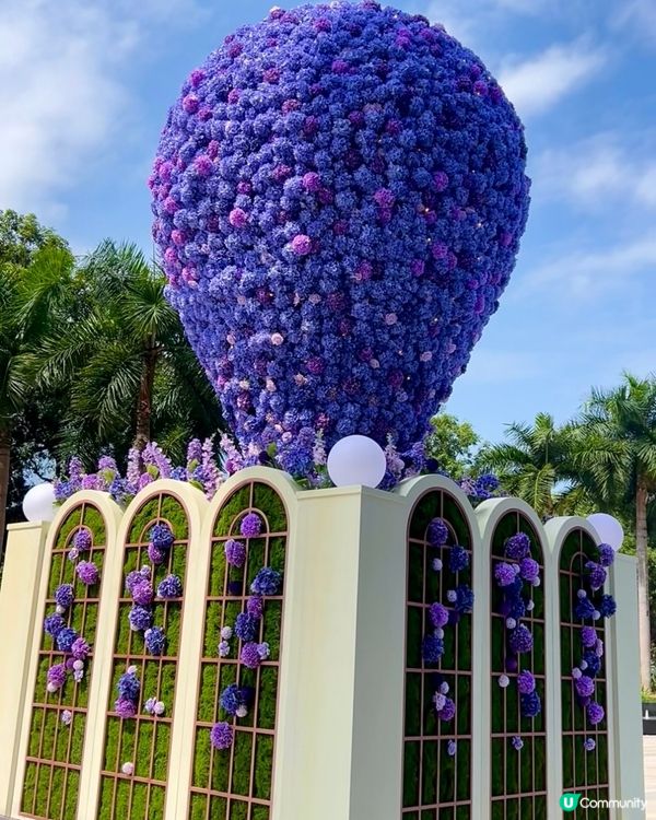  🪻我愛花花之惠州浪漫紫花海🪻