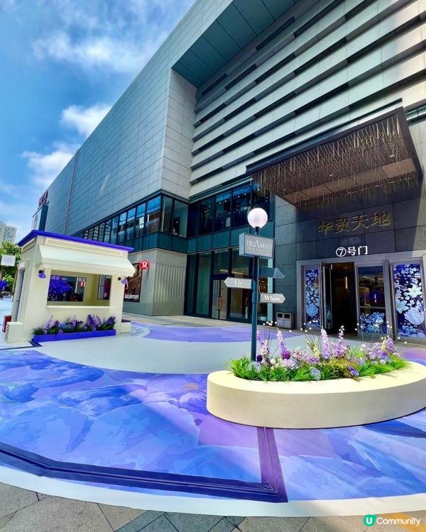  🪻我愛花花之惠州浪漫紫花海🪻