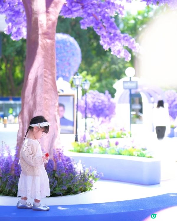  🪻我愛花花之惠州浪漫紫花海🪻