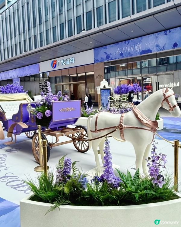  🪻我愛花花之惠州浪漫紫花海🪻