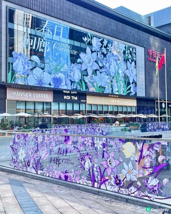  🪻我愛花花之惠州浪漫紫花海🪻