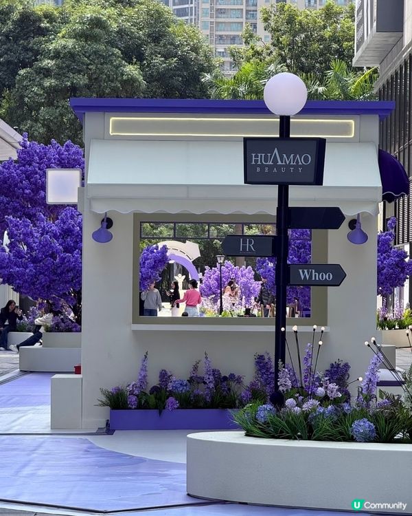  🪻我愛花花之惠州浪漫紫花海🪻