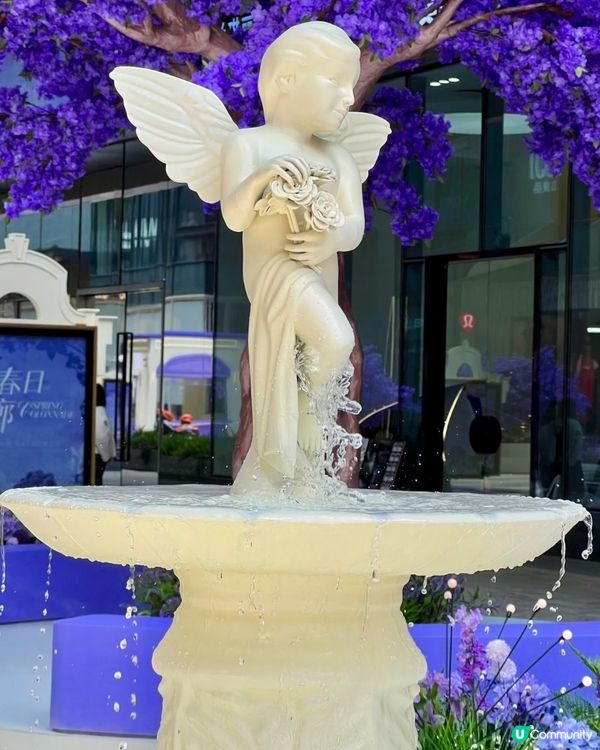  🪻我愛花花之惠州浪漫紫花海🪻