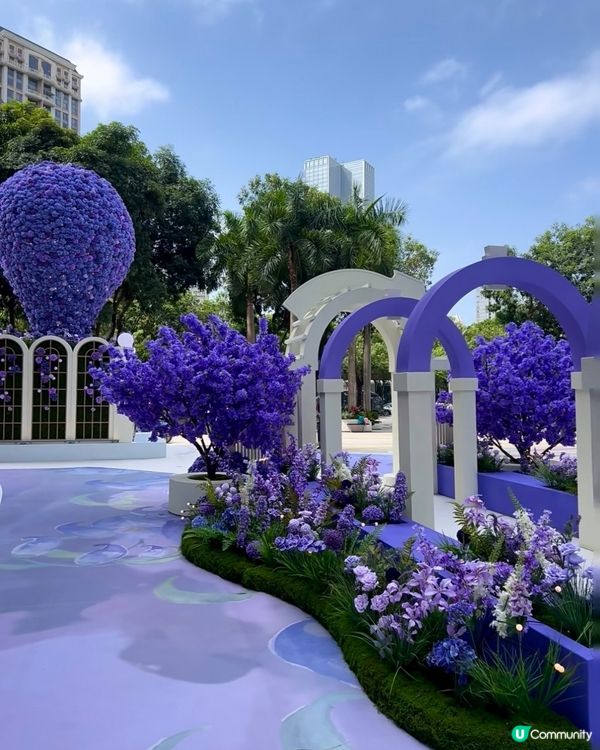  🪻我愛花花之惠州浪漫紫花海🪻