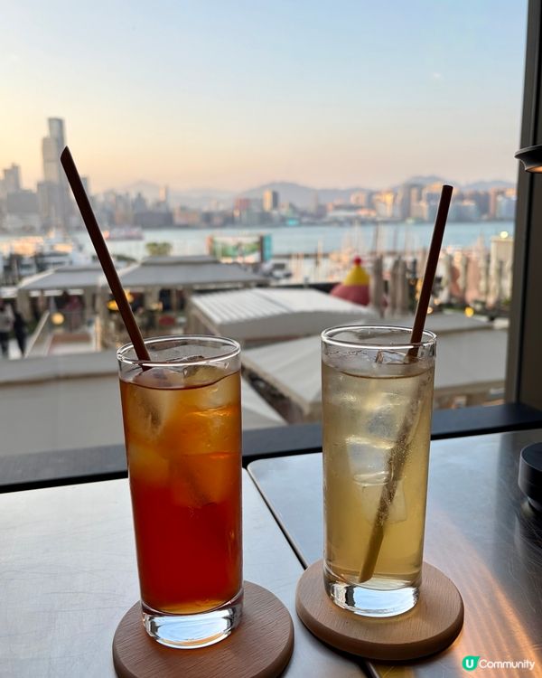 銅鑼灣 WTC 空中花園🪴望海打卡位！😍