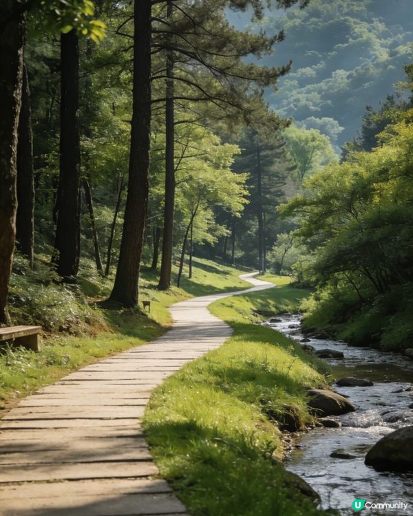 燕晗山🌳南山秘境✨⛰️