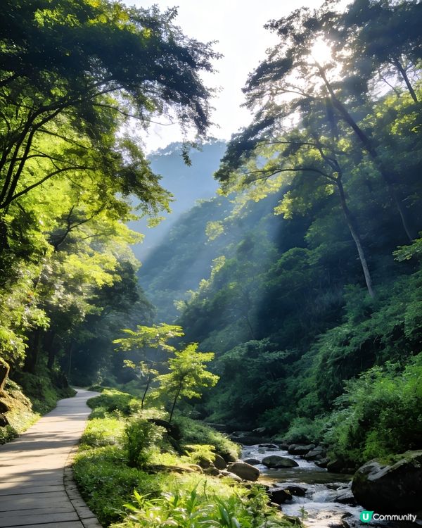 燕晗山🌳南山秘境✨⛰️