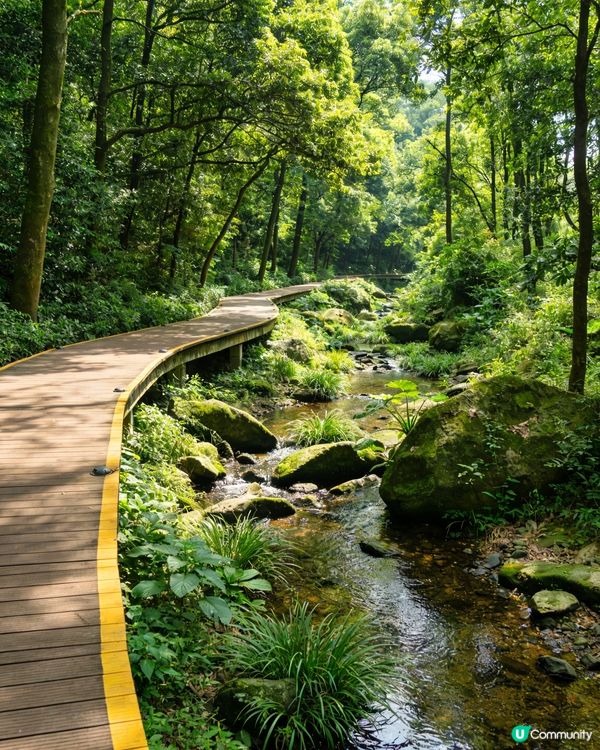 燕晗山🌳南山秘境✨⛰️