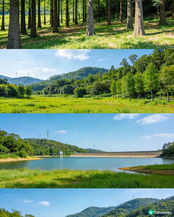 三聯龍崗🌳天空之境🚶‍♀️絕美📸