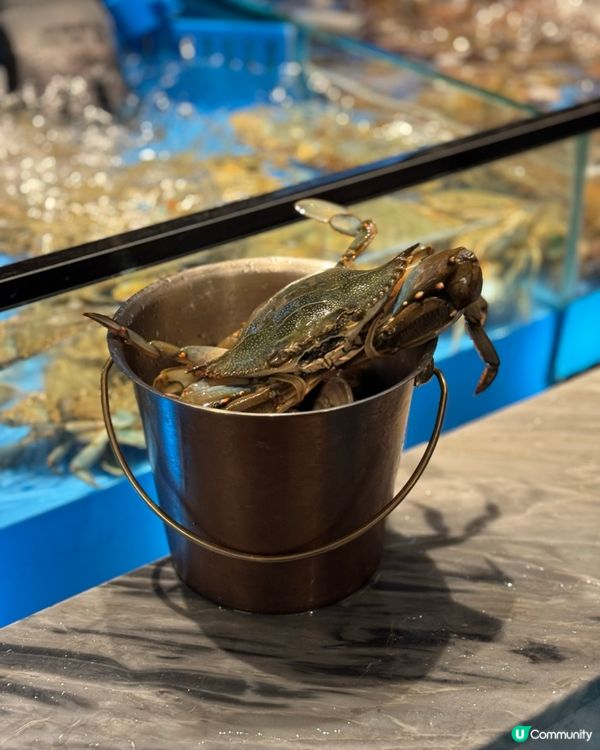 立即去銅鑼灣🦀勁爆任食3小時海鮮火鍋🔥