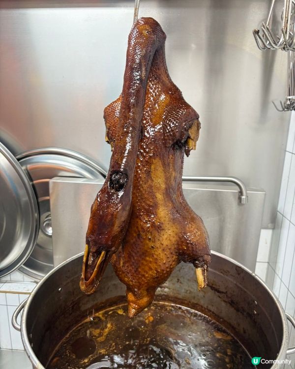 🦢汕頭非遺潮汕滷鵝48年汕頭老字號🥢春梅里🥢深圳首店