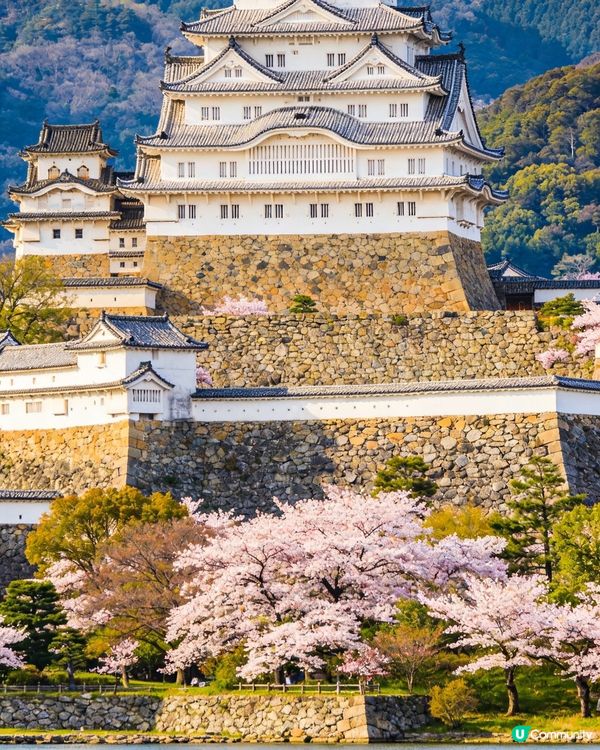 名古屋，不只是過路站！千年名城與汽車王國的迷人交匯