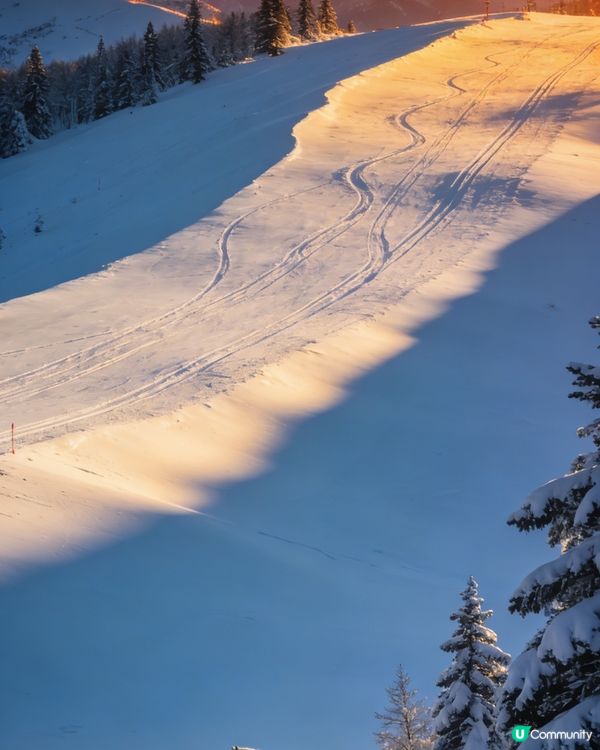 白馬滑雪勝地！🏔️⛷️極級粉雪體驗